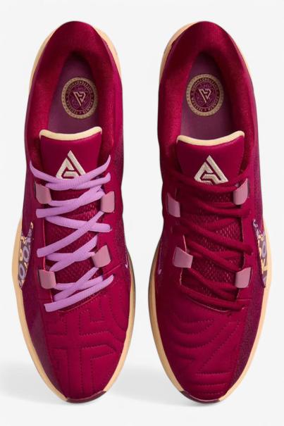 NIKE x Giannis Zoom Freak 5 Alphabet Bros Basketball Shoes Burgundy